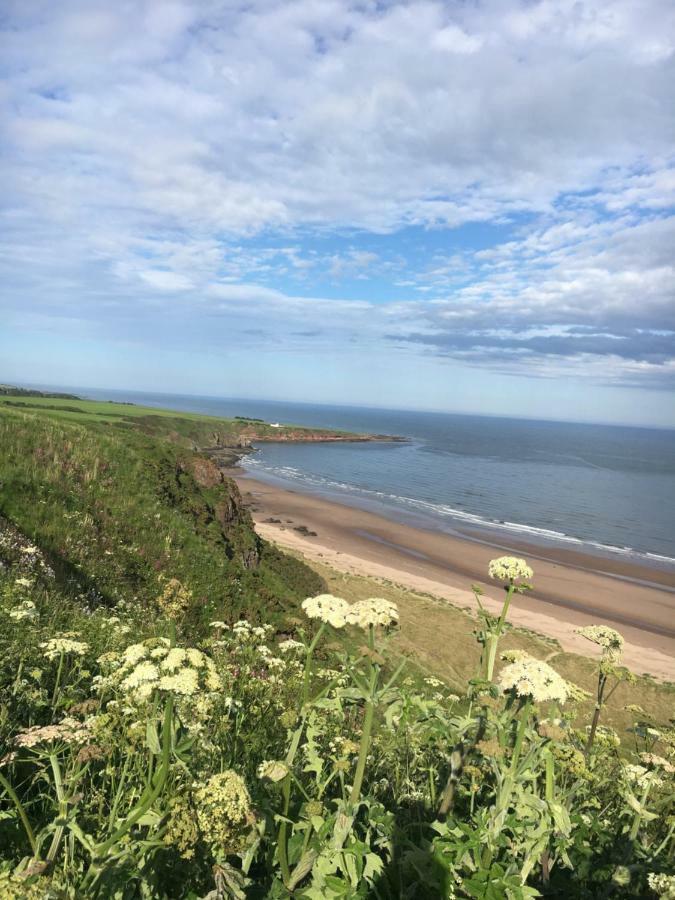 Dunnottar Woods Cottage Stonehaven Ngoại thất bức ảnh